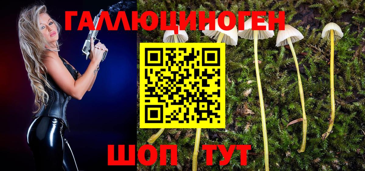 Псилоцибиновые грибы прущие грибы  Вход с VPN  Псилоцибиновые грибы Psilocybe  Ирбит 